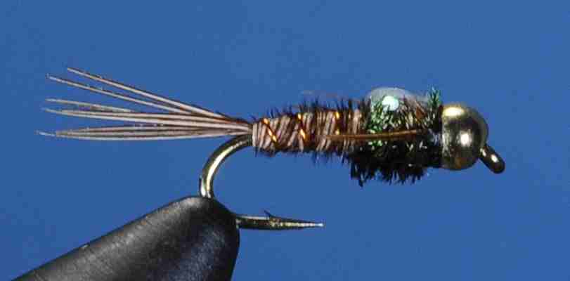 J21-16PTNE product image