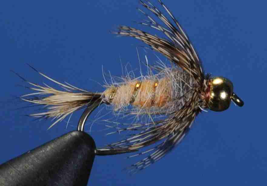 J21-16RFSQ product image