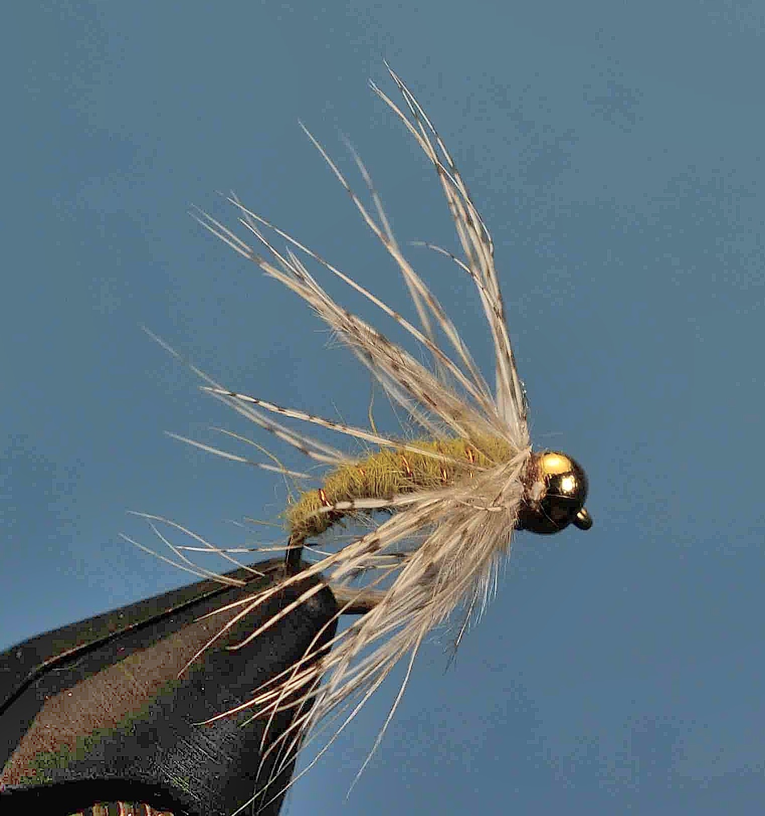 J21-16SHOL product image