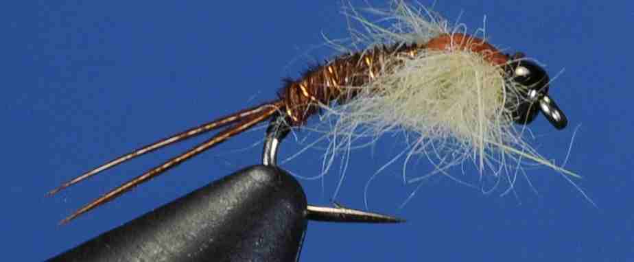 J21-16SLNO product image