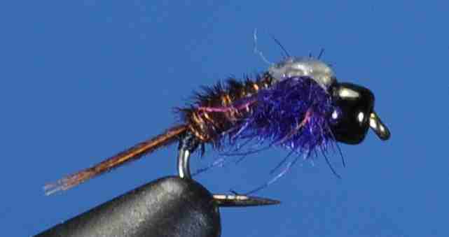 J21-16SNFP product image