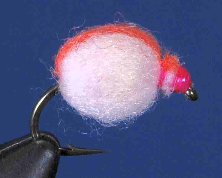 J21-16TECC product image