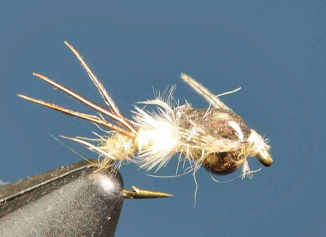 J21-16THSU product image