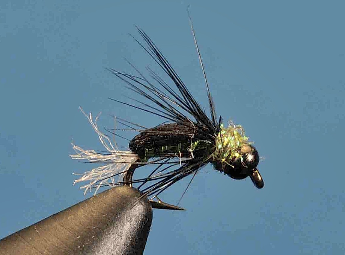 J21-16TTMB product image