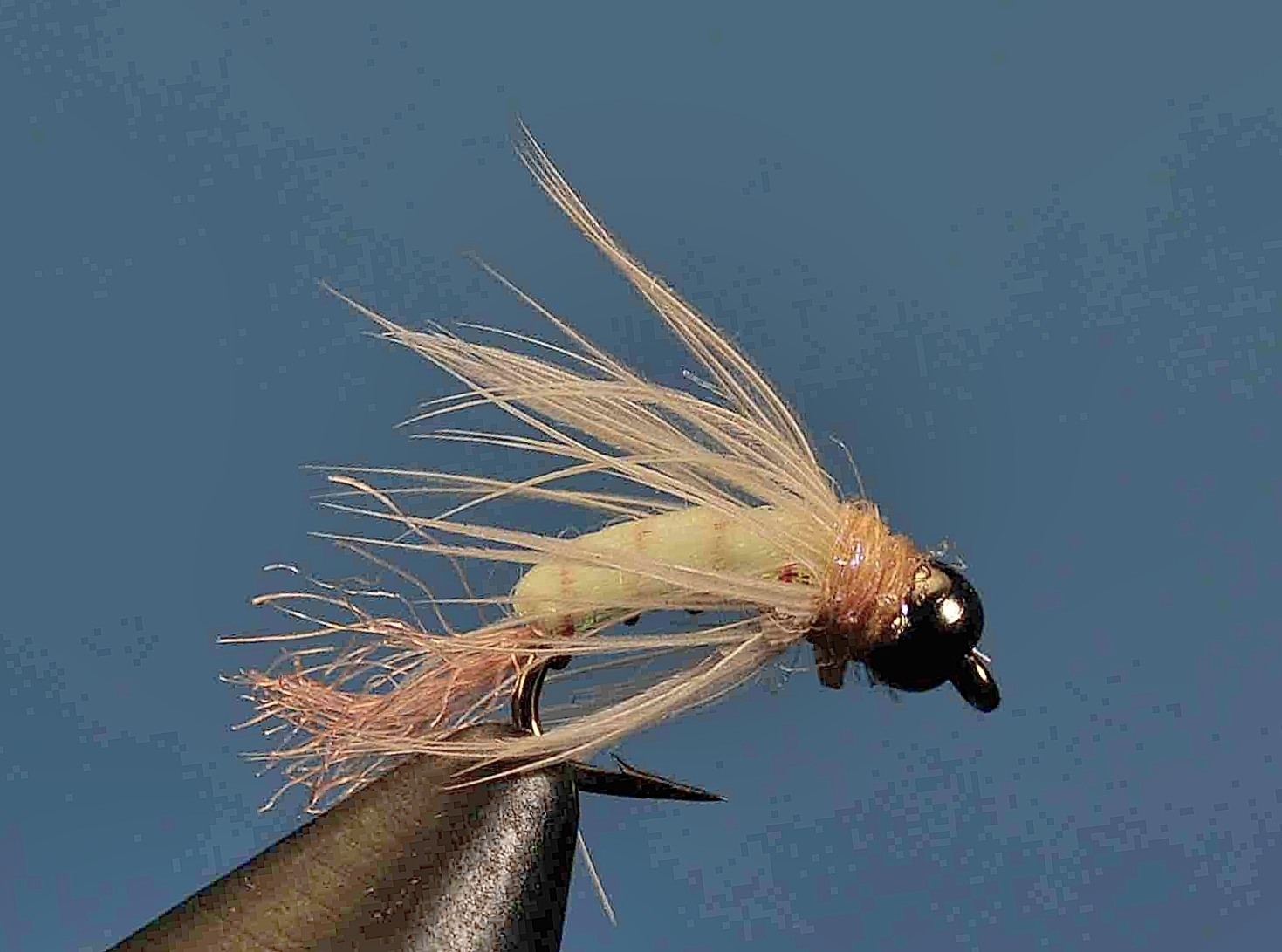 J21-16TTMY product image