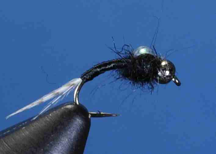 J21-16WDBB product image