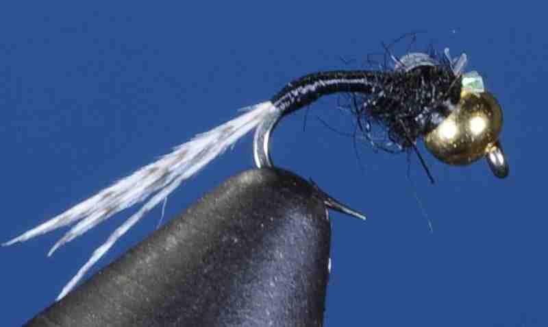 J21-16WDBK product image