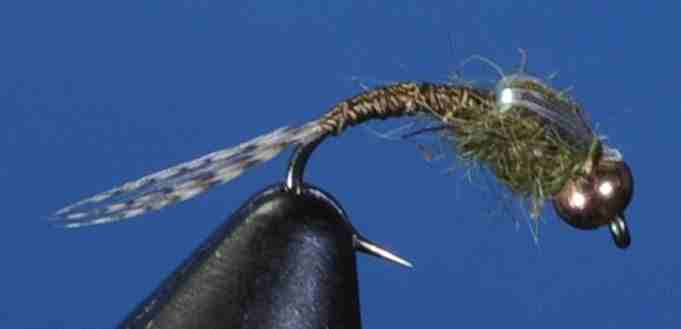 J21-16WDBO product image