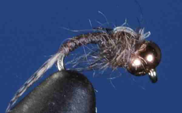 J21-16WDCC product image