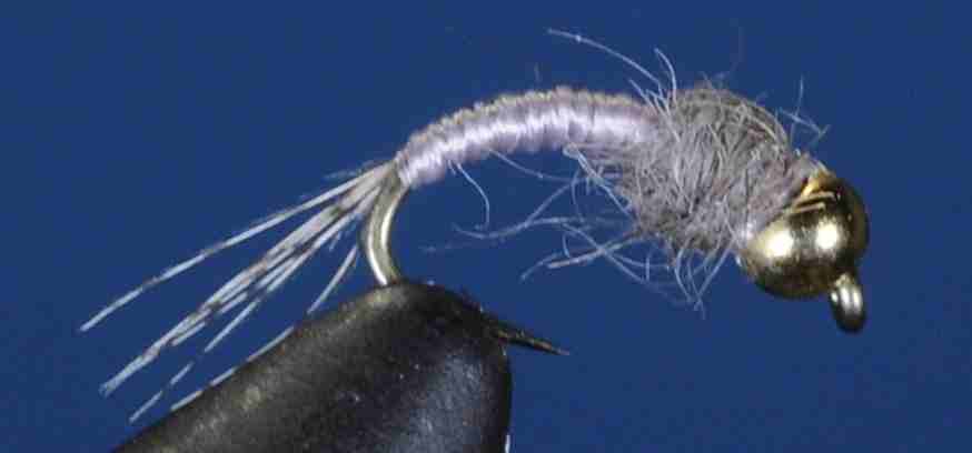 J21-16WDGY product image