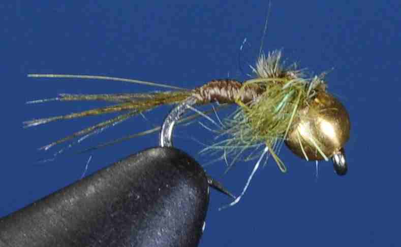 J21-16WDOL product image