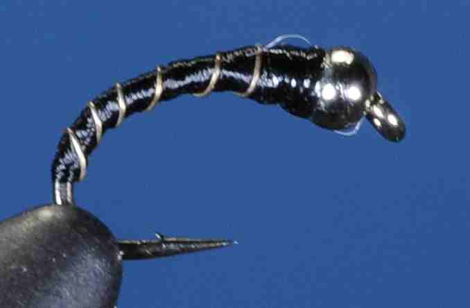 J21-16ZMSB product image