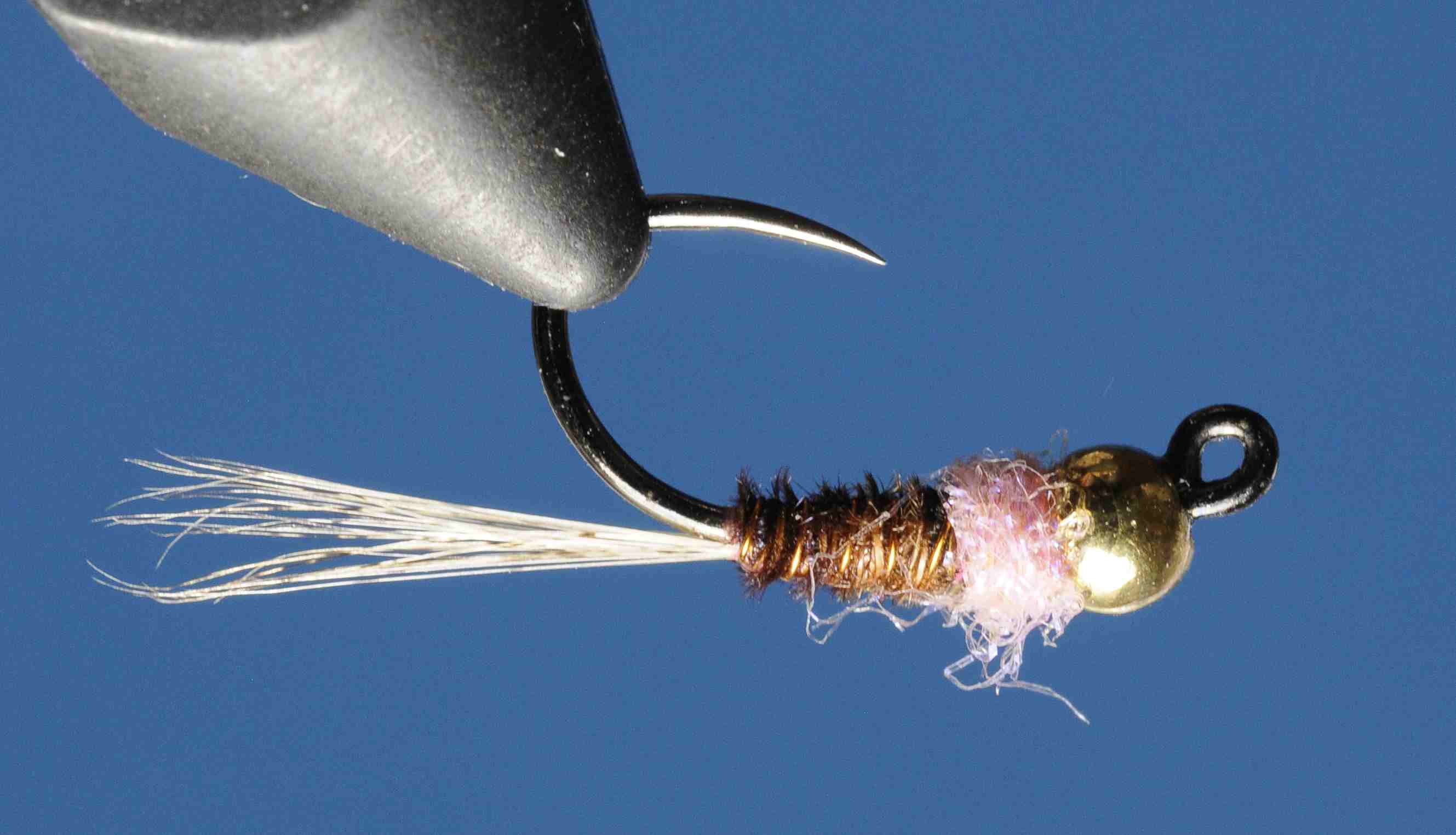 J21-16ZSFP product image