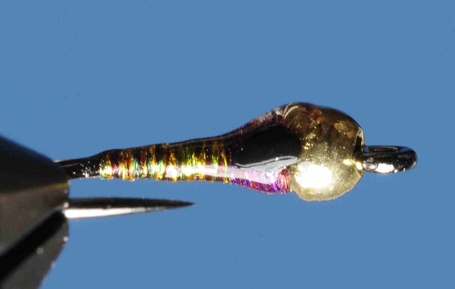 J21-16ZSOG product image