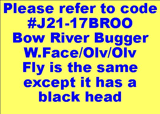 J21-17BRBO product image