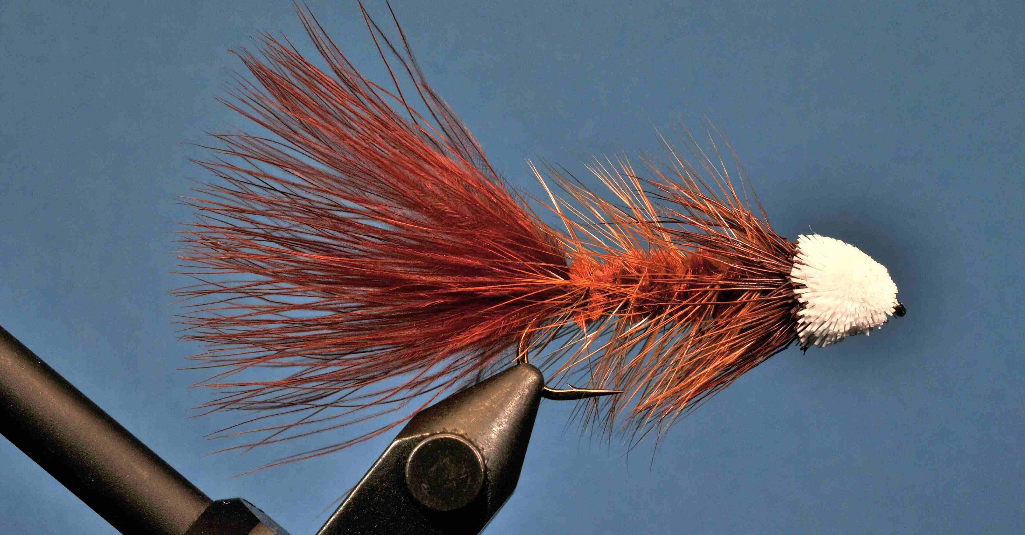 J21-17BRWB product image