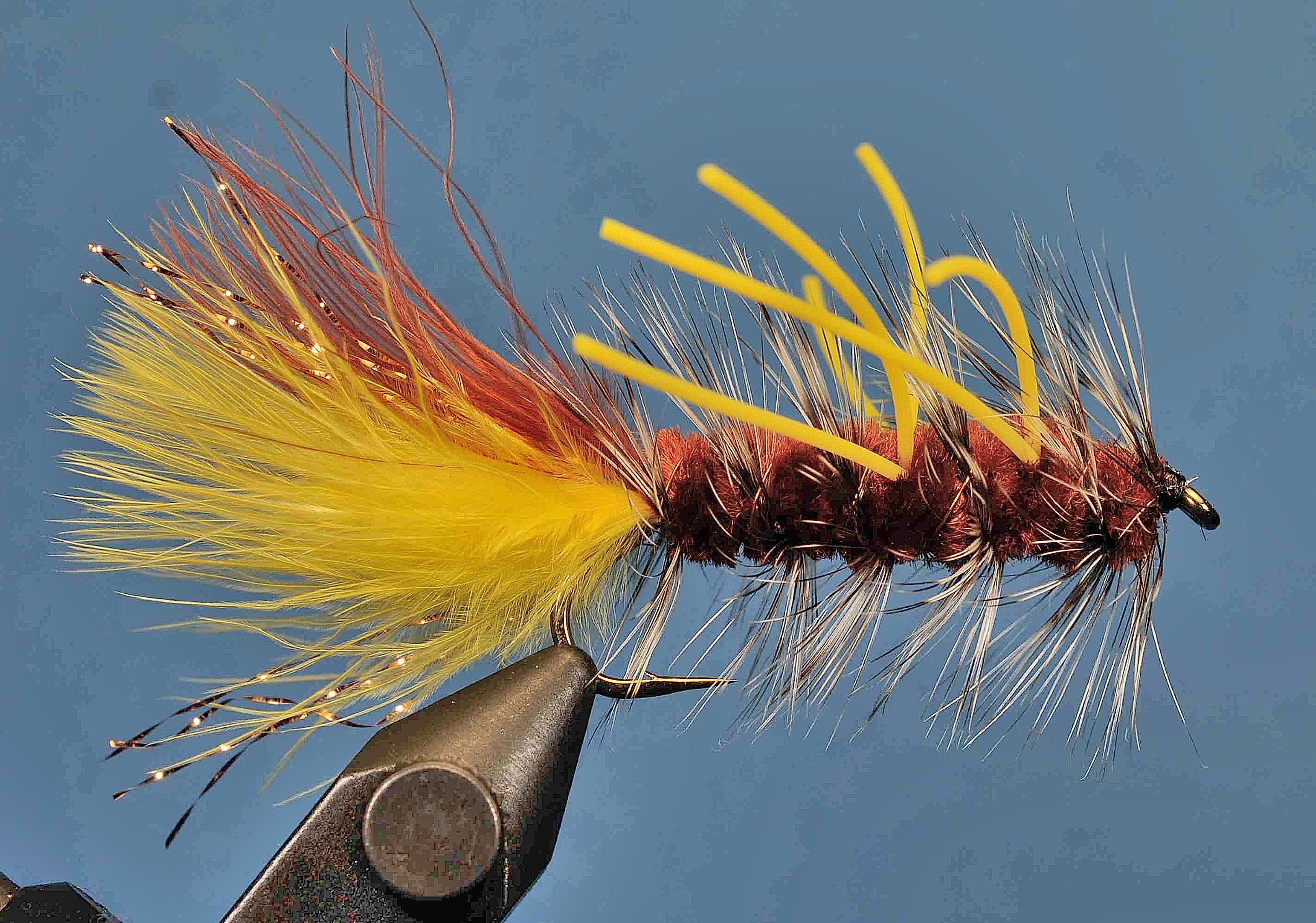 J21-17WBJJ product image