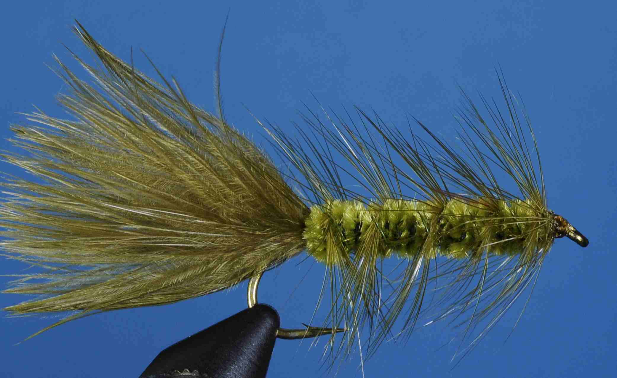 J21-17WBOL product image