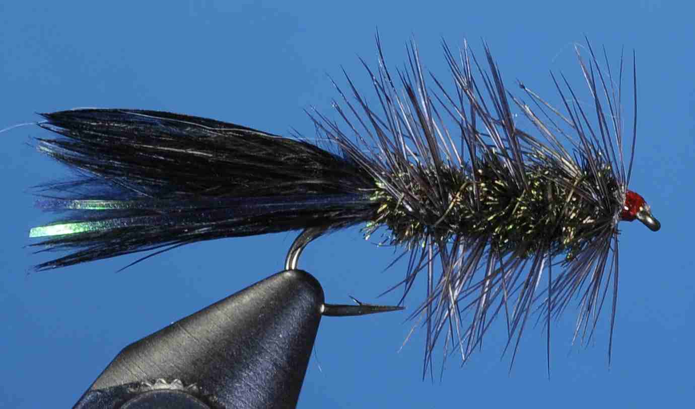 J21-17WBPE product image