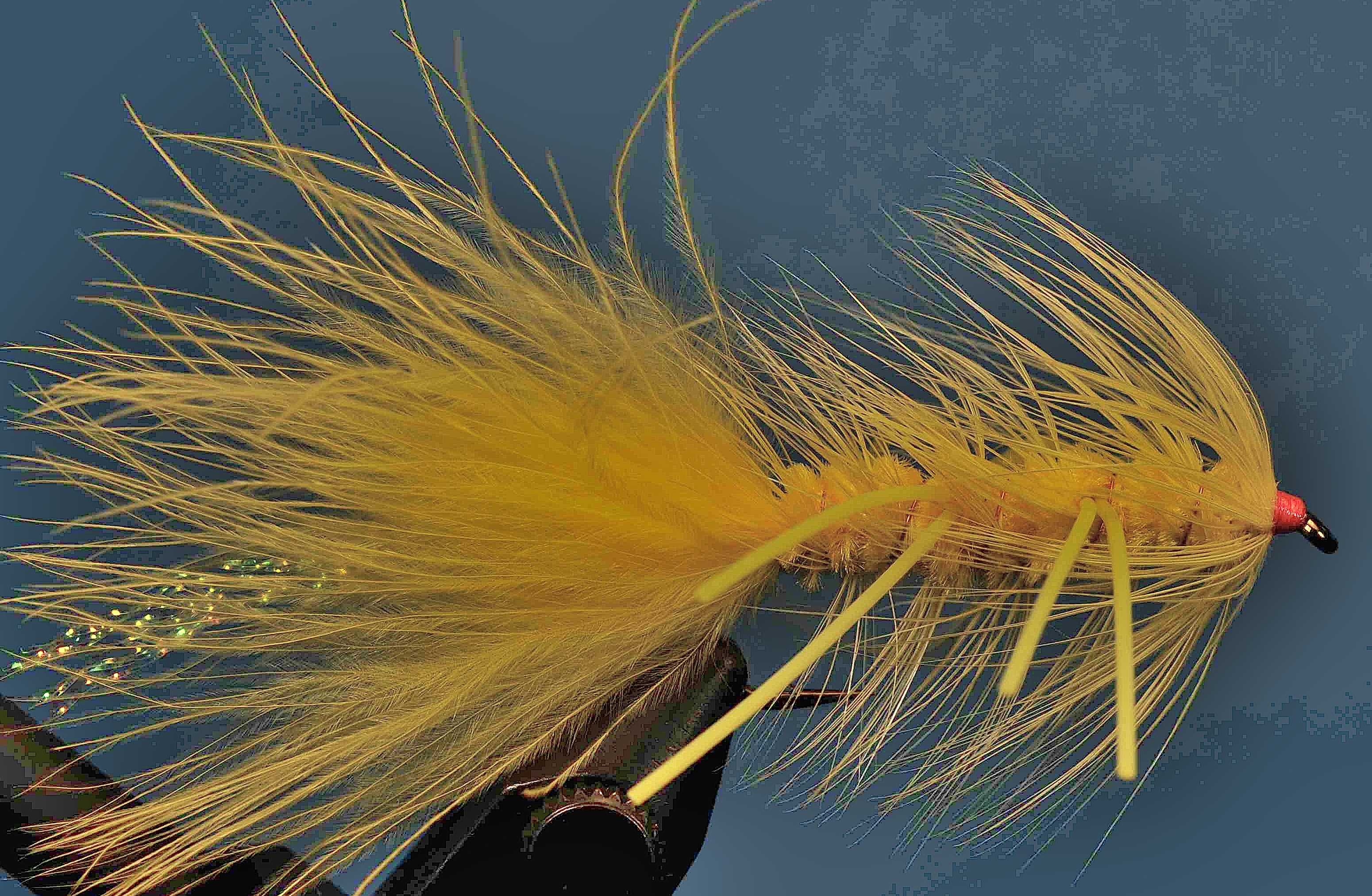 J21-17WBYW product image