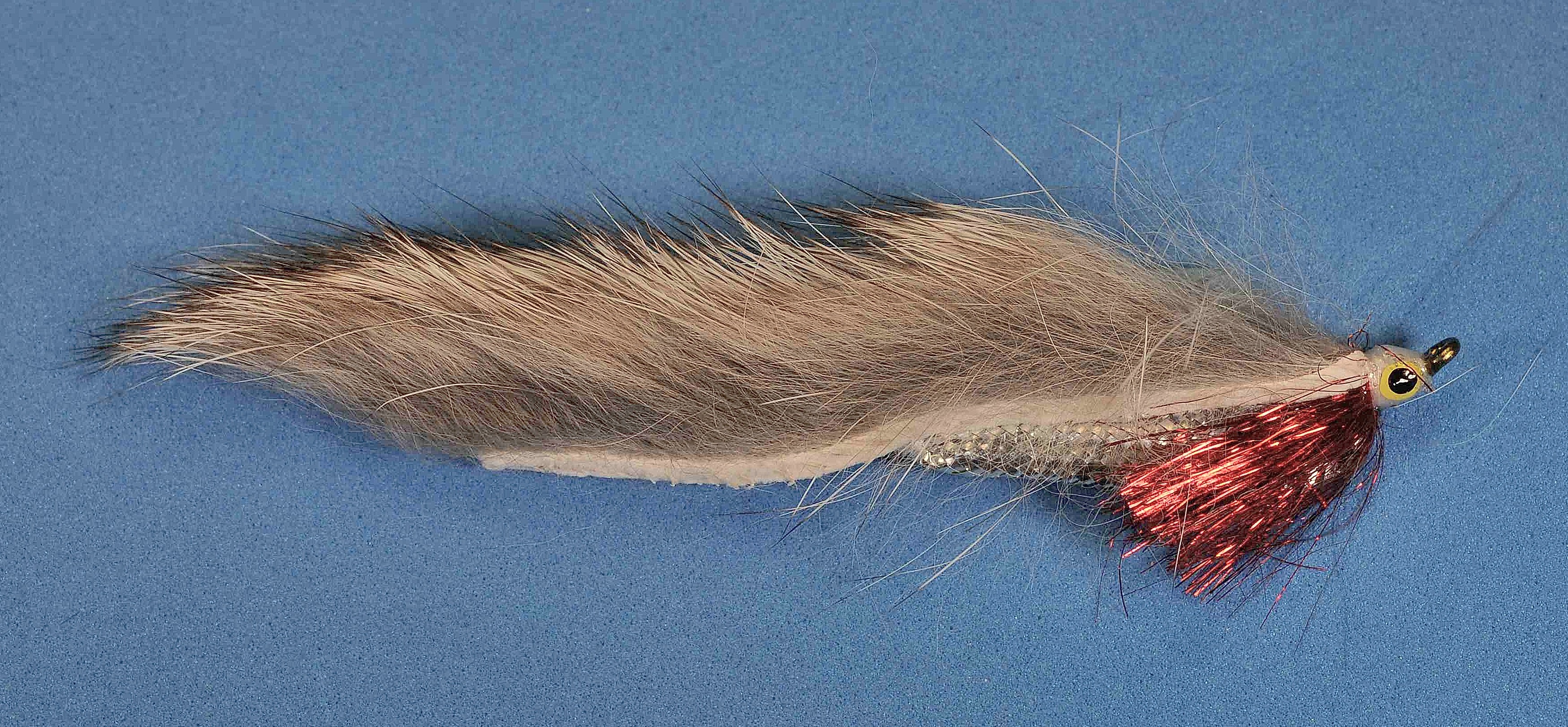 J21-18IZWS product image