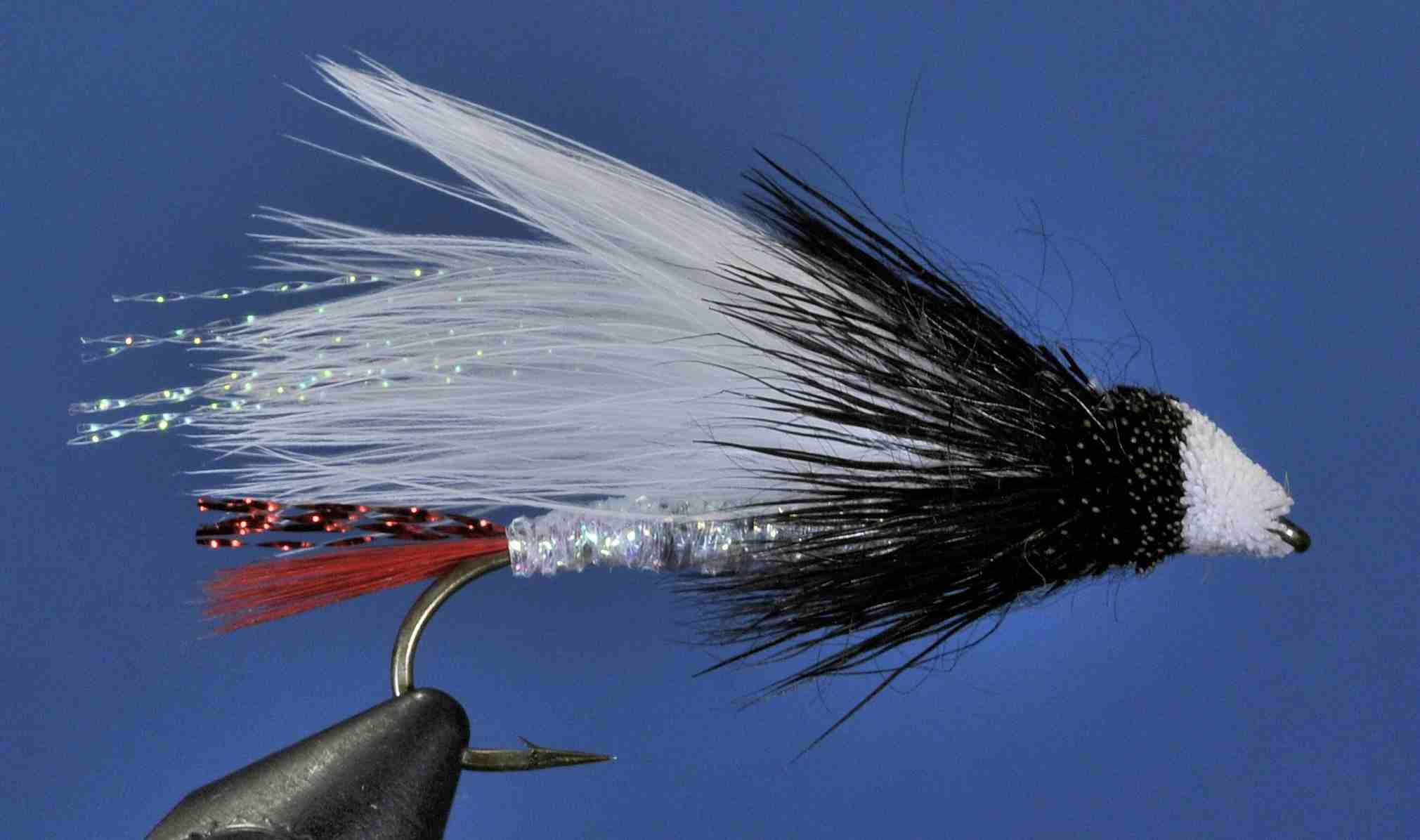 J21-18MMWH product image