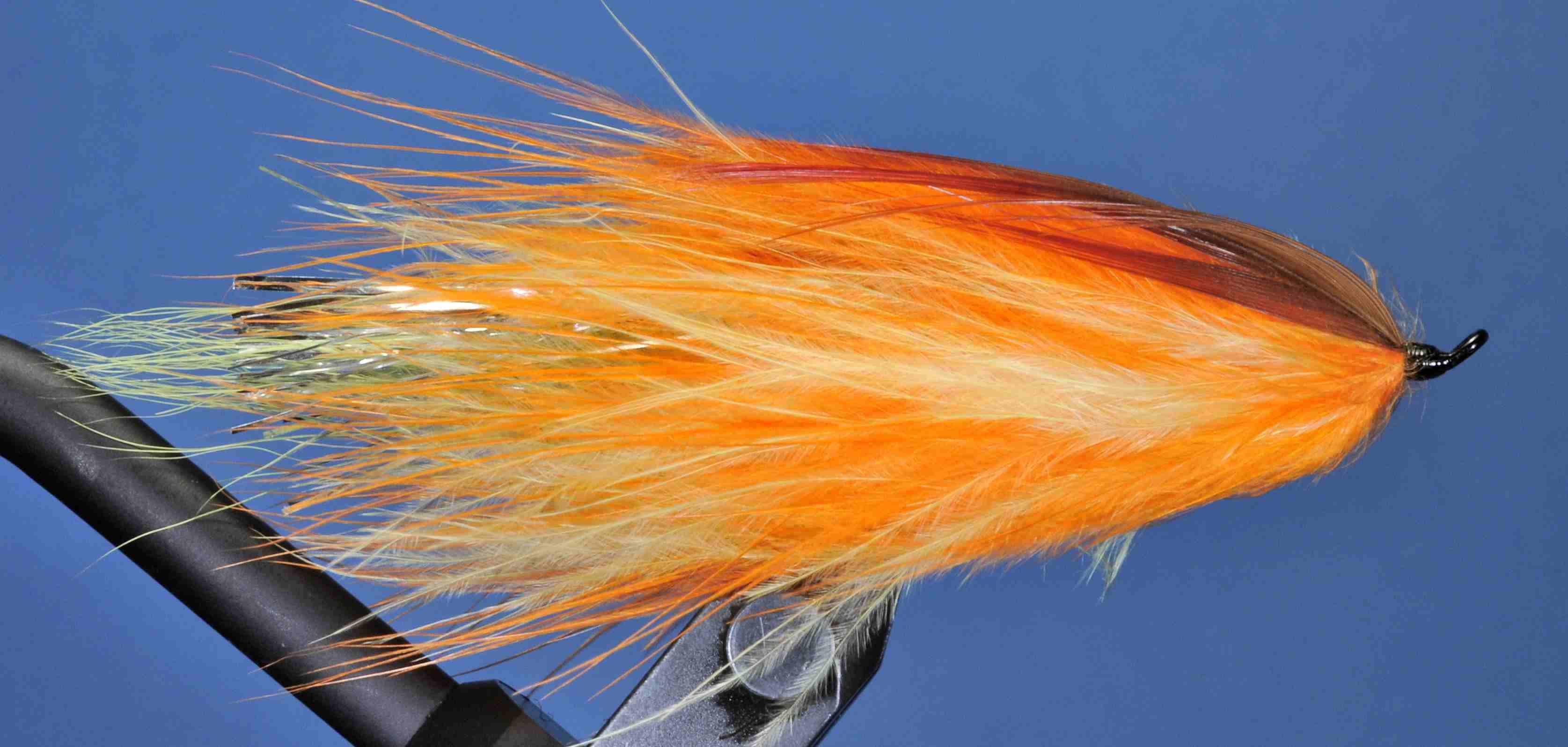 J21-19BDCO product image