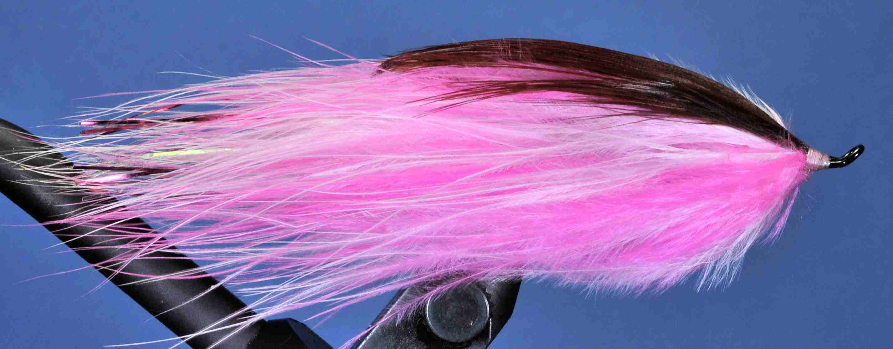 J21-19BDVS product image