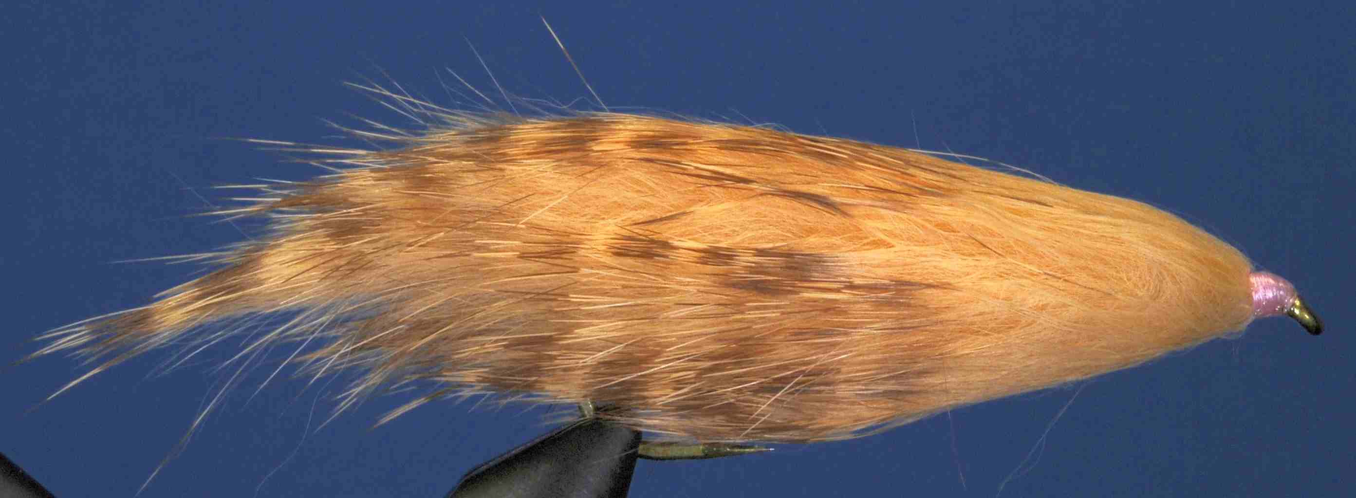 J21-19BLBP product image