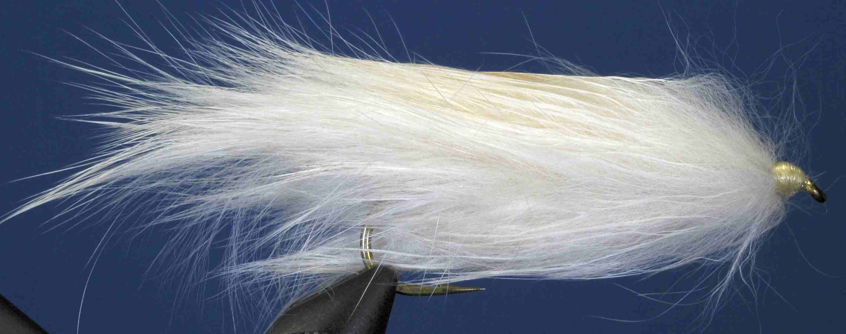 J21-19BLCM product image