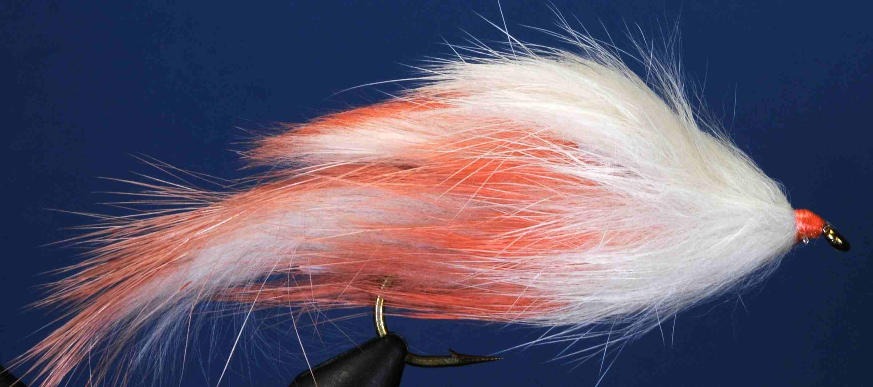 J21-19BLCP product image