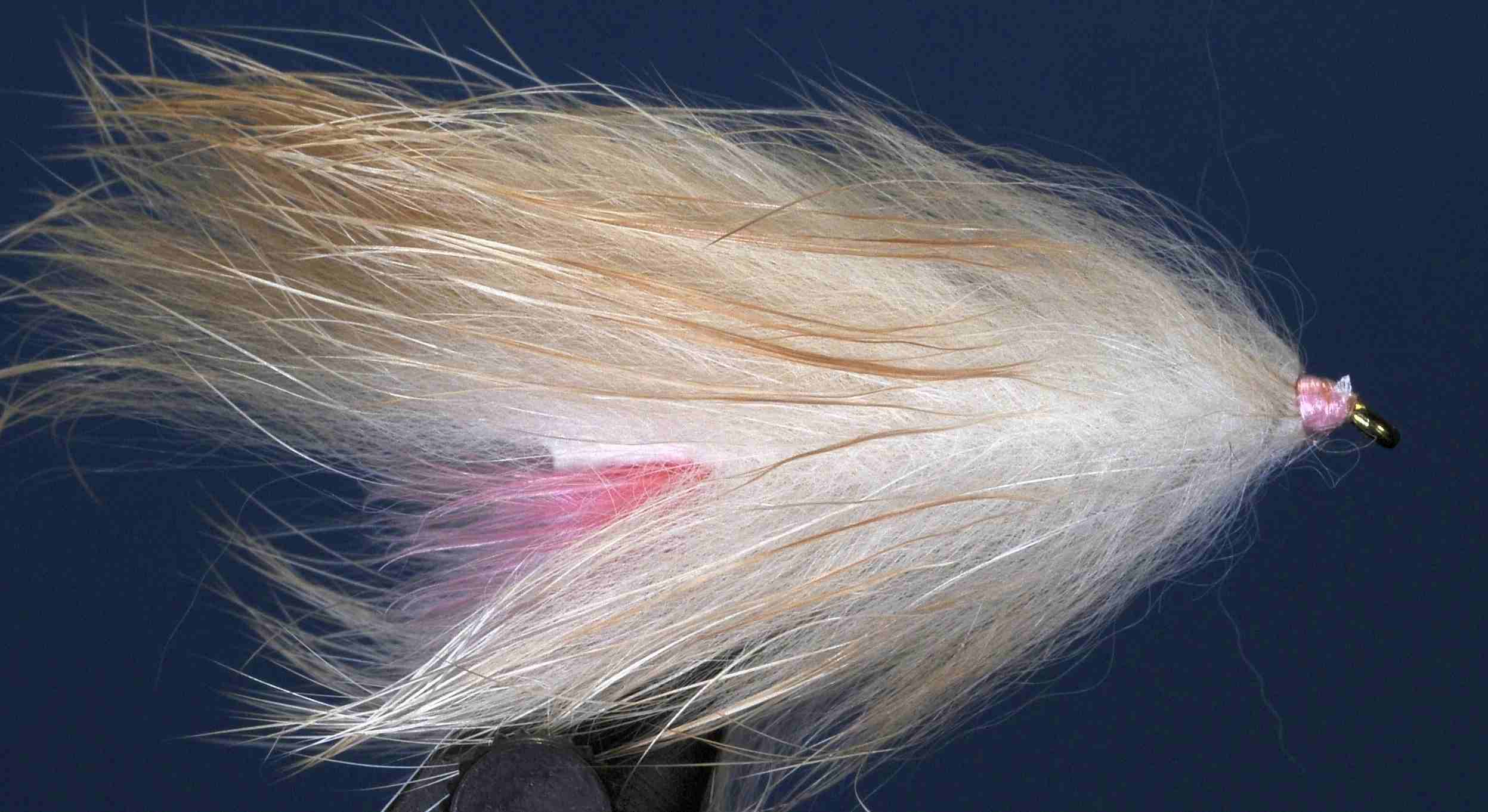 J21-19BLDS product image