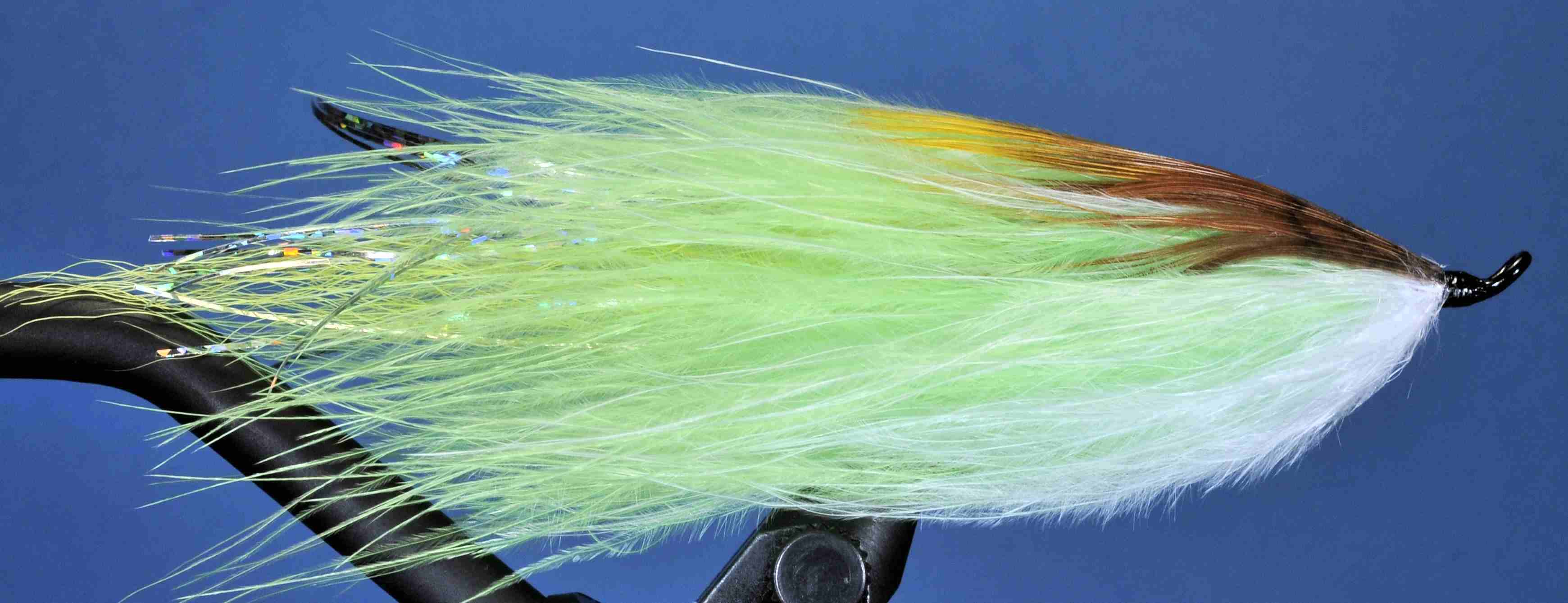 J21-19BPCH product image