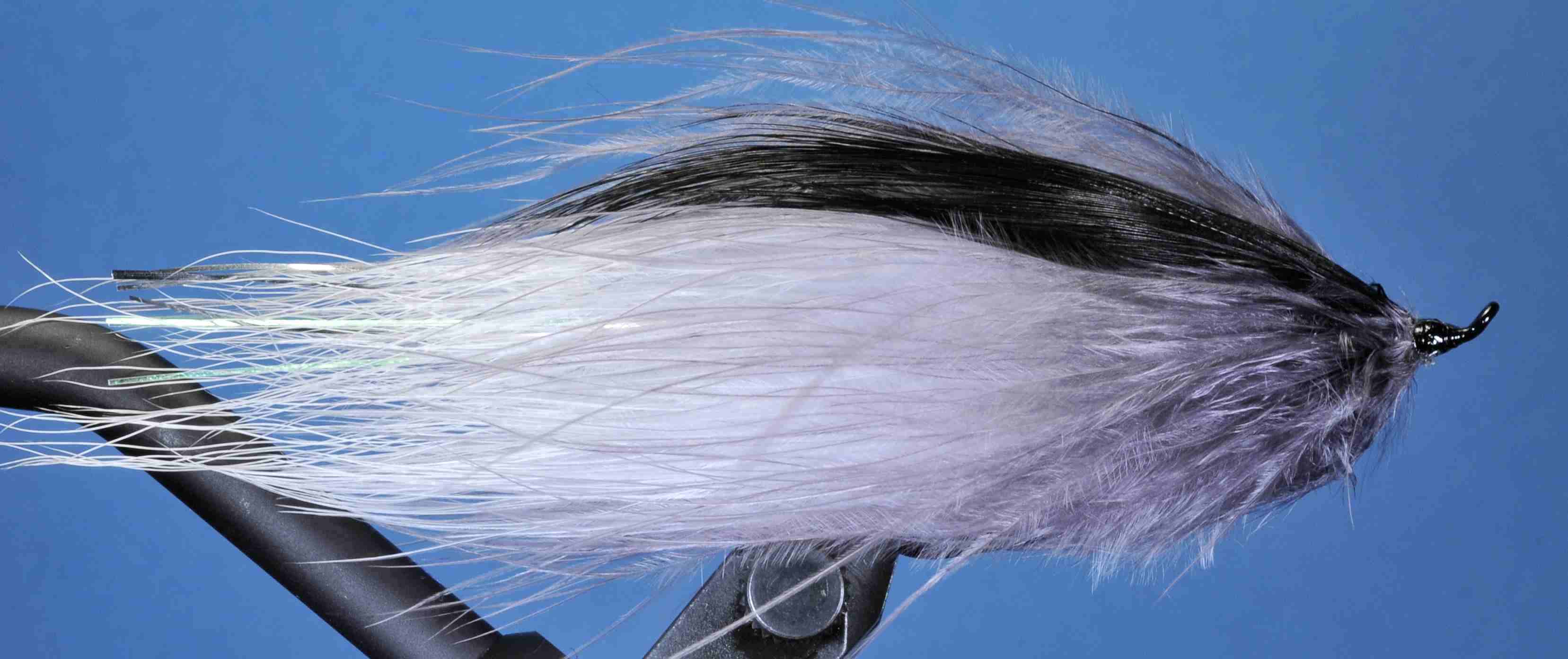 J21-19BPGF product image