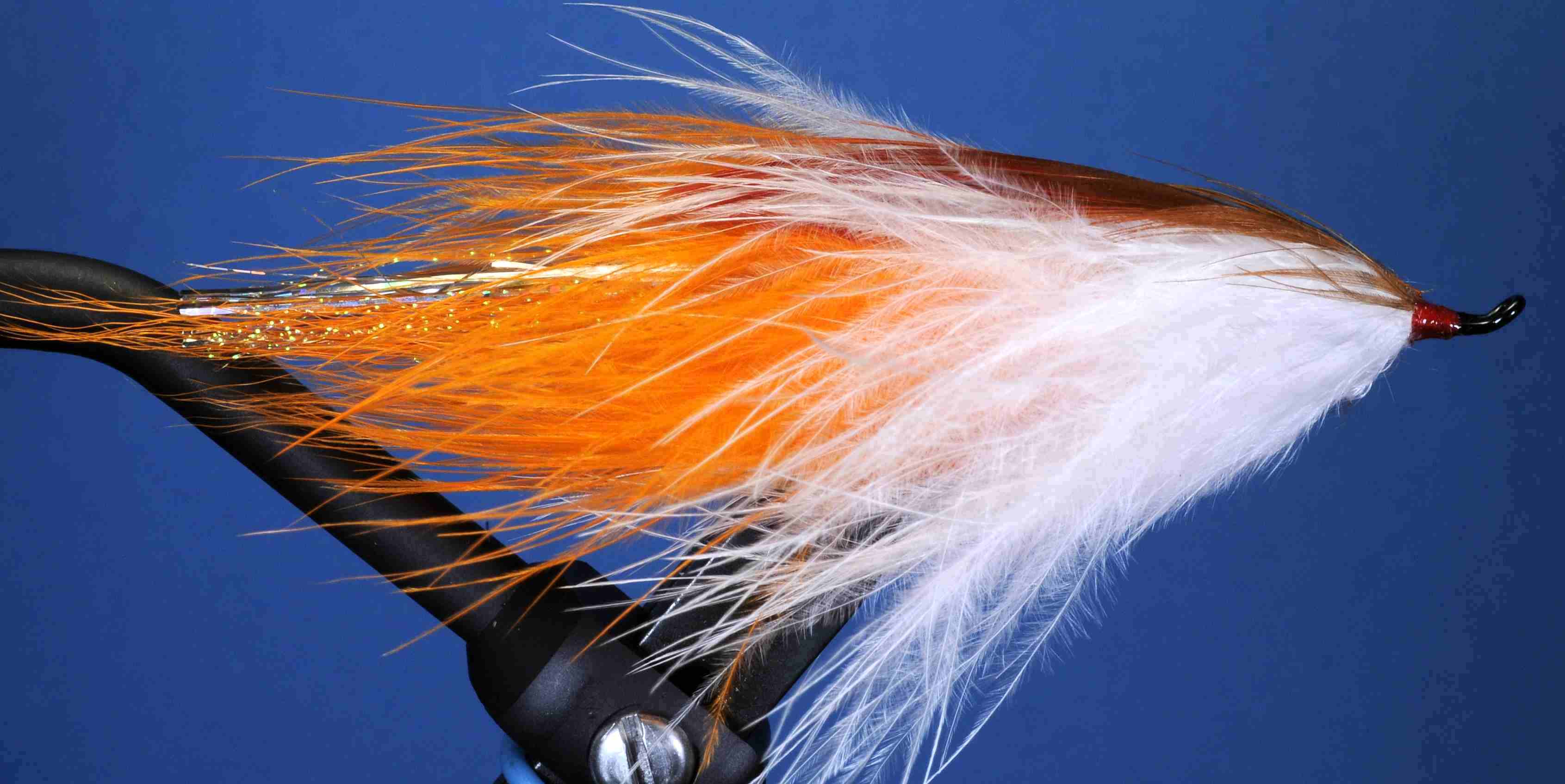 J21-19BPOC product image