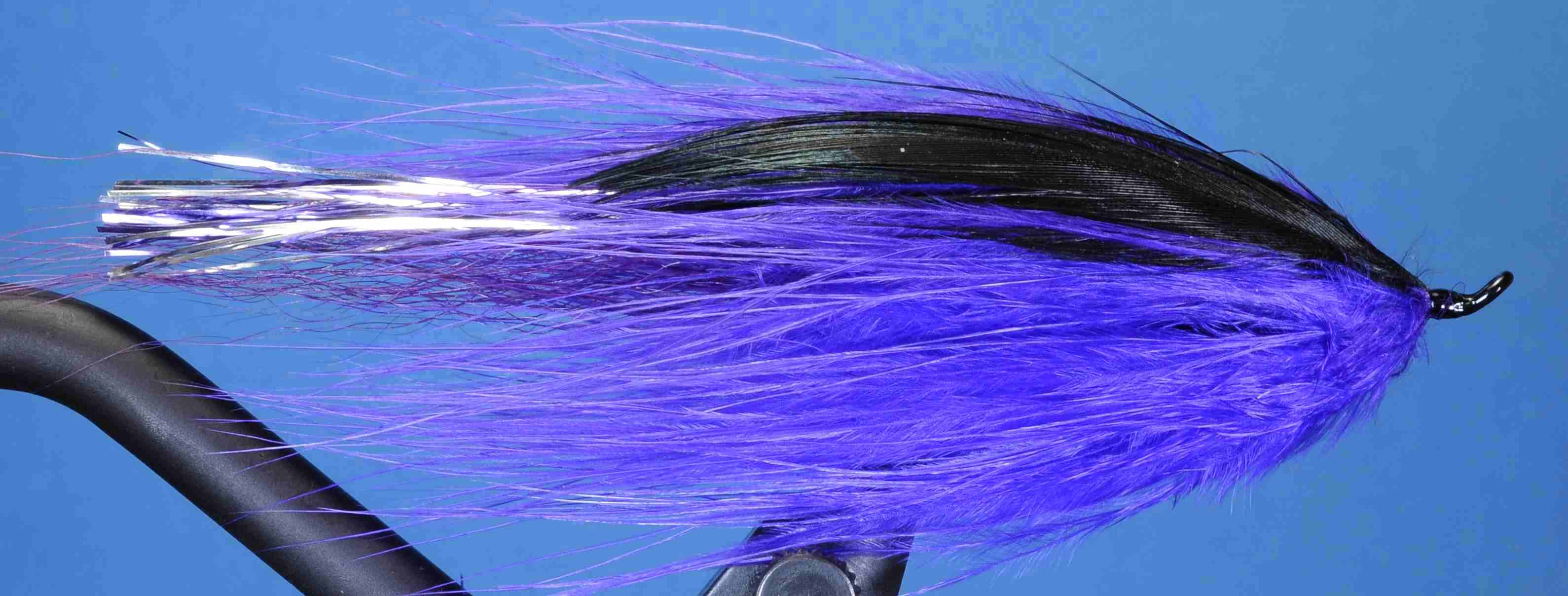 J21-19BPPR product image