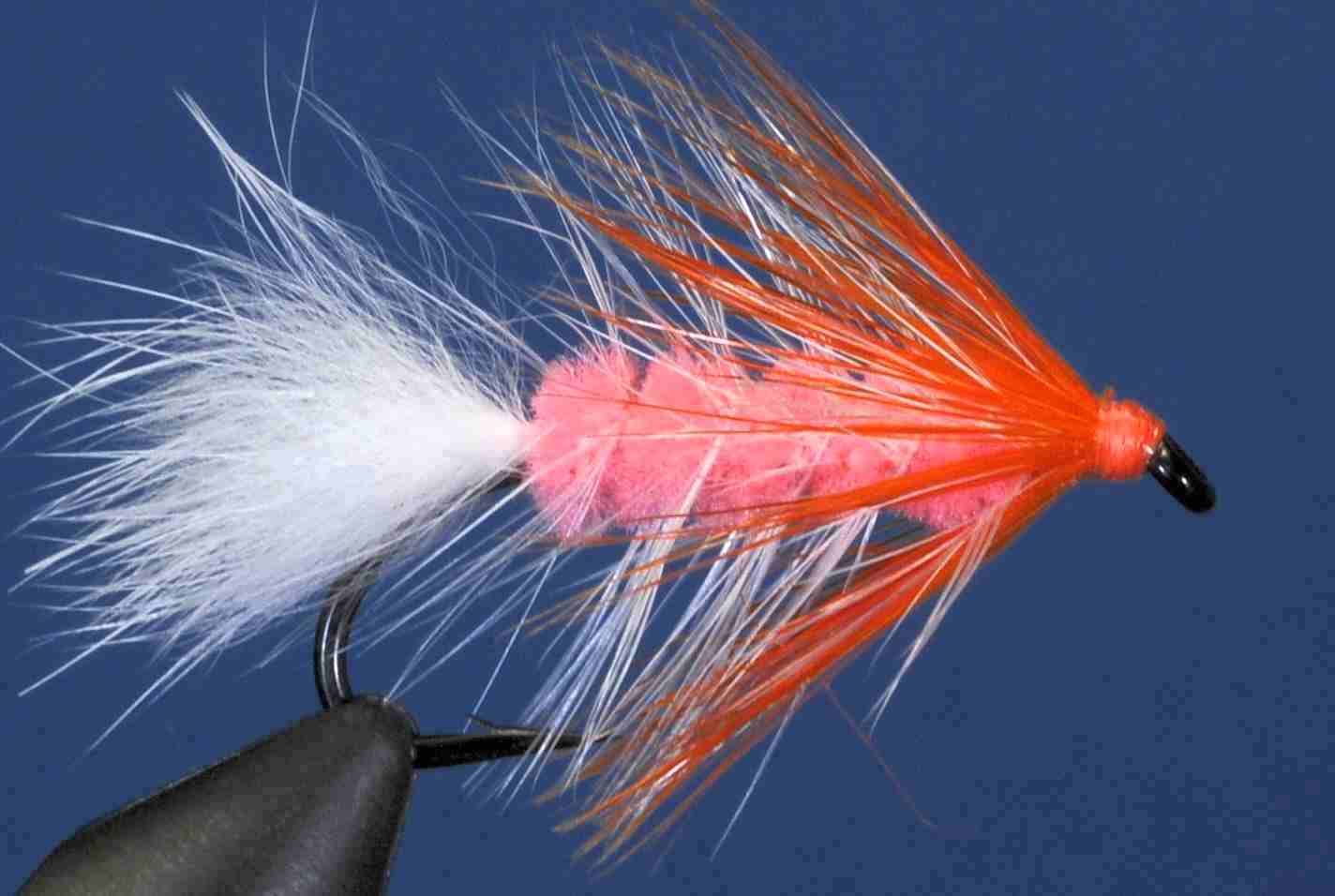 J21-19BTCR product image