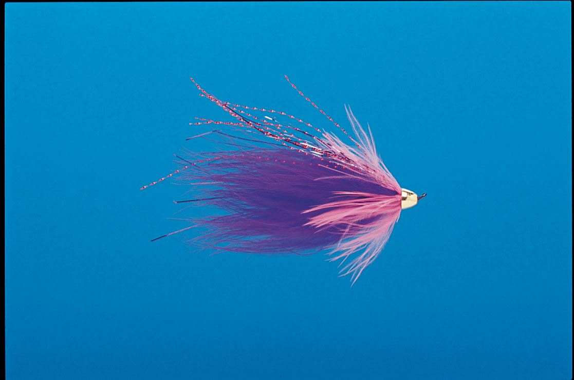 J21-19CMAQ product image