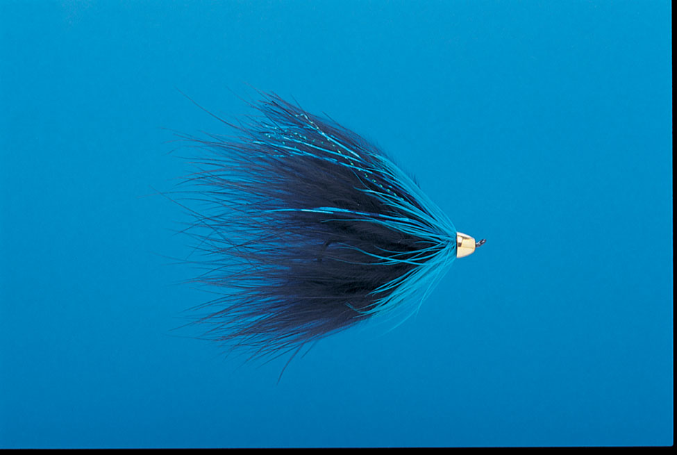 J21-19CMBM product image