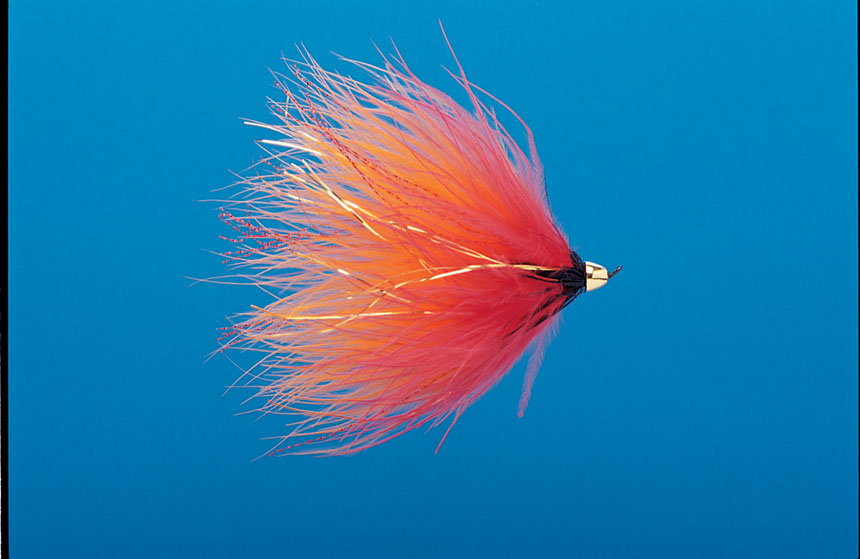 J21-19CMES product image