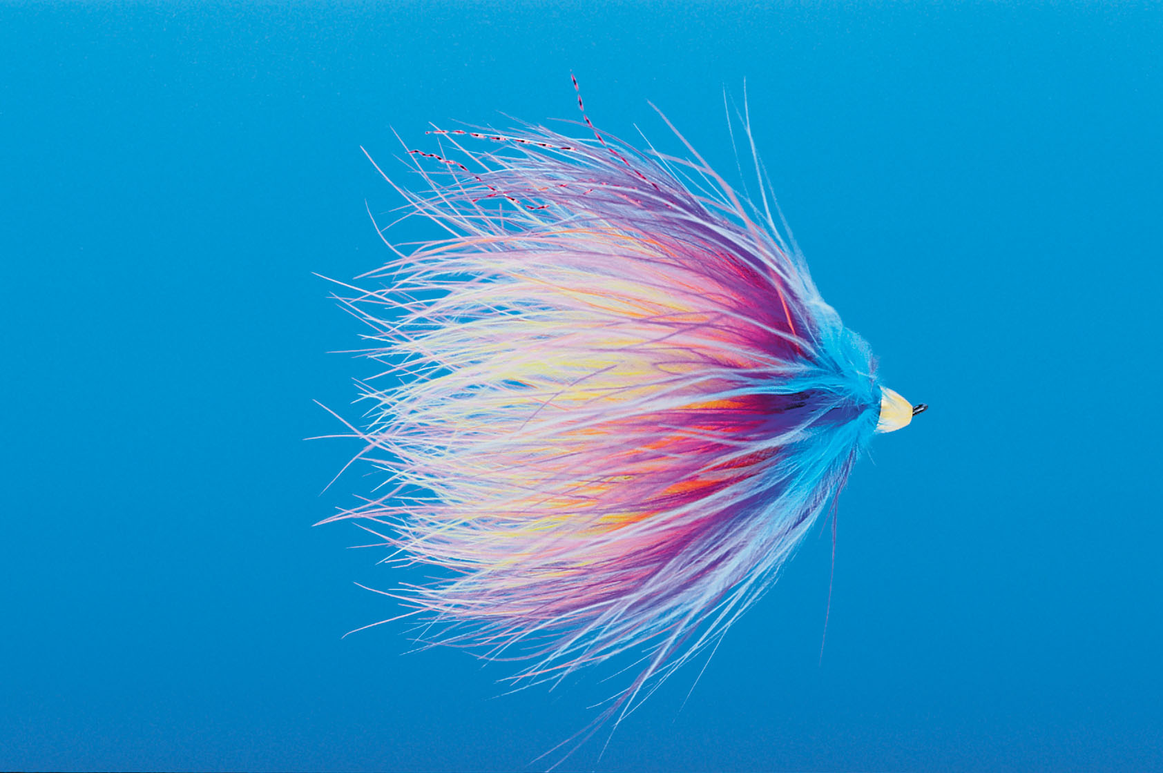 J21-19CMGC product image