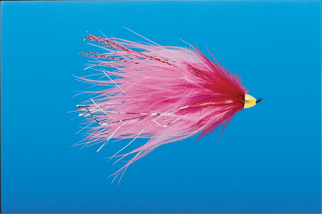 J21-19CMKK product image