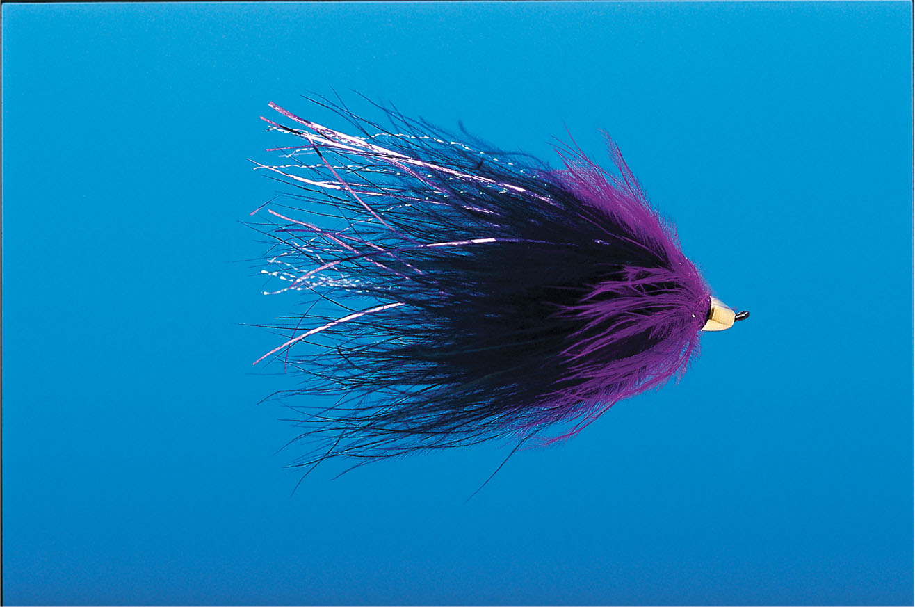 J21-19CMPM product image