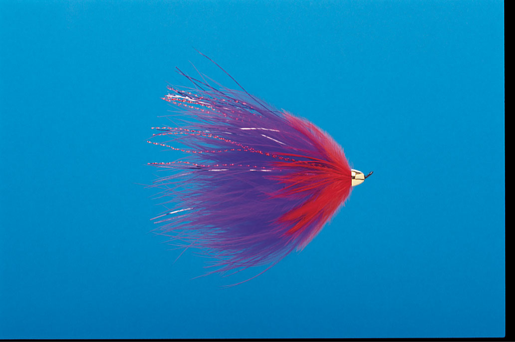 J21-19CMPO product image