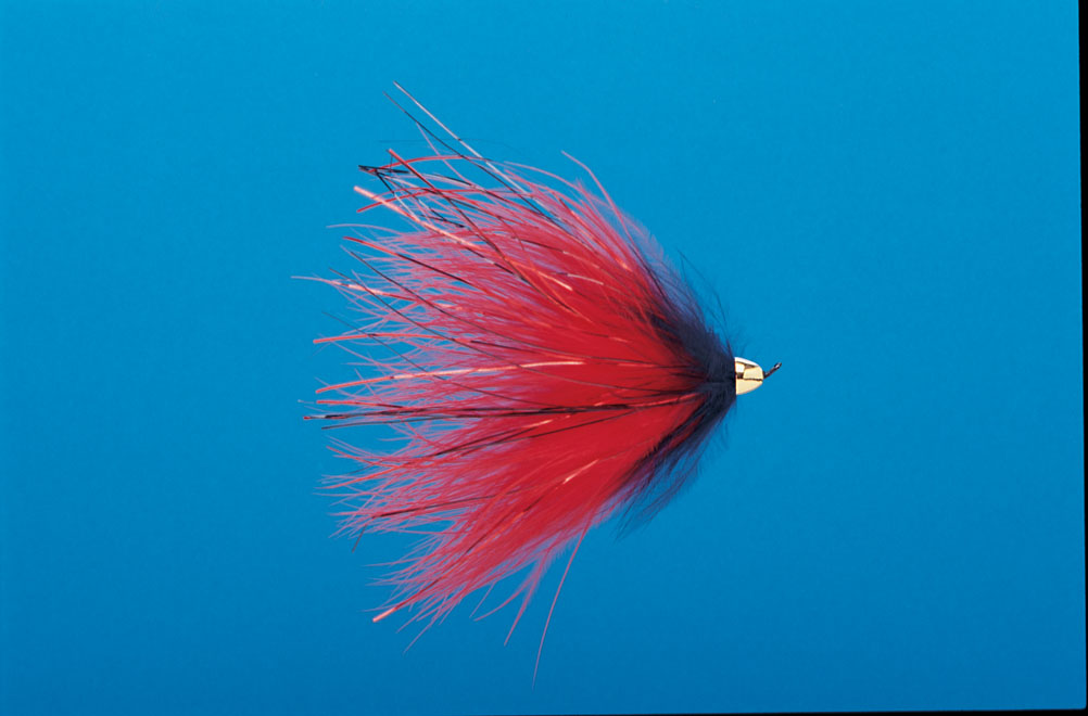 J21-19CMRM product image