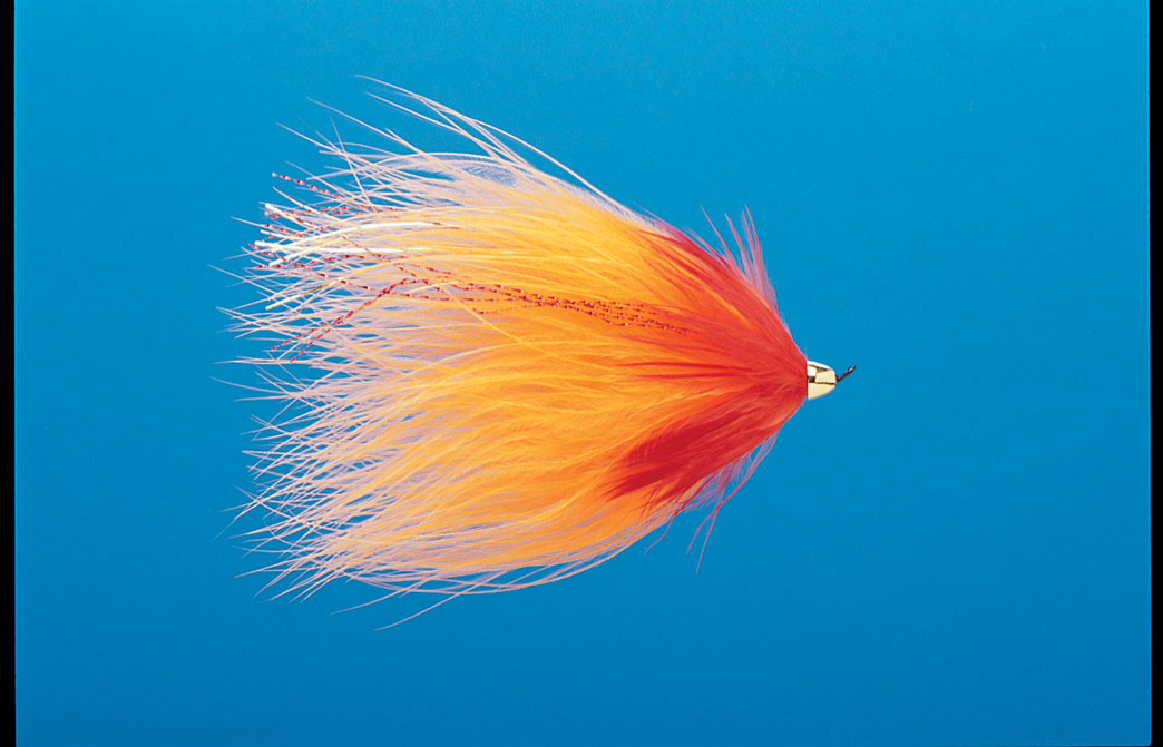 J21-19CMVO product image