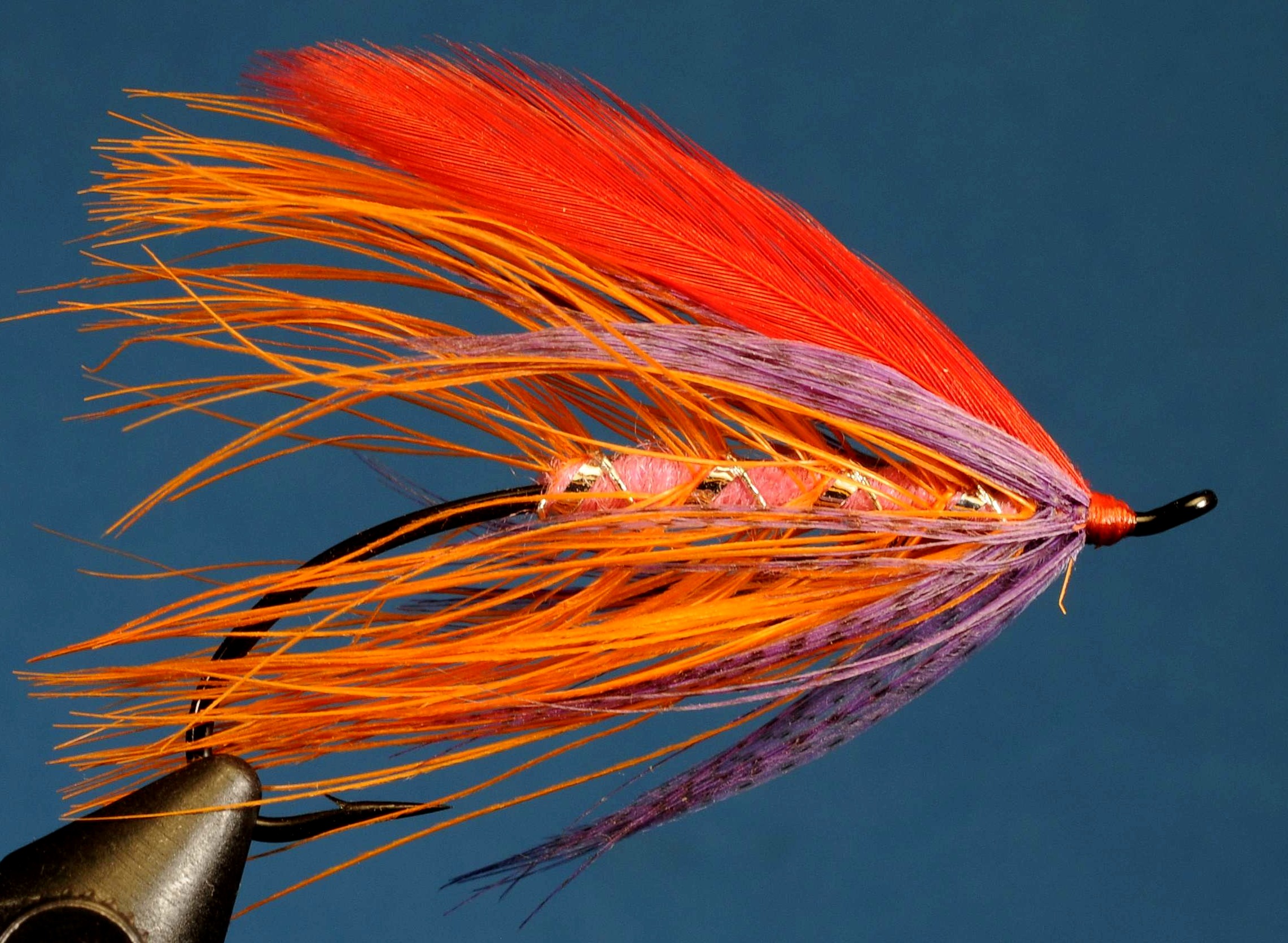 J21-19DTSW product image