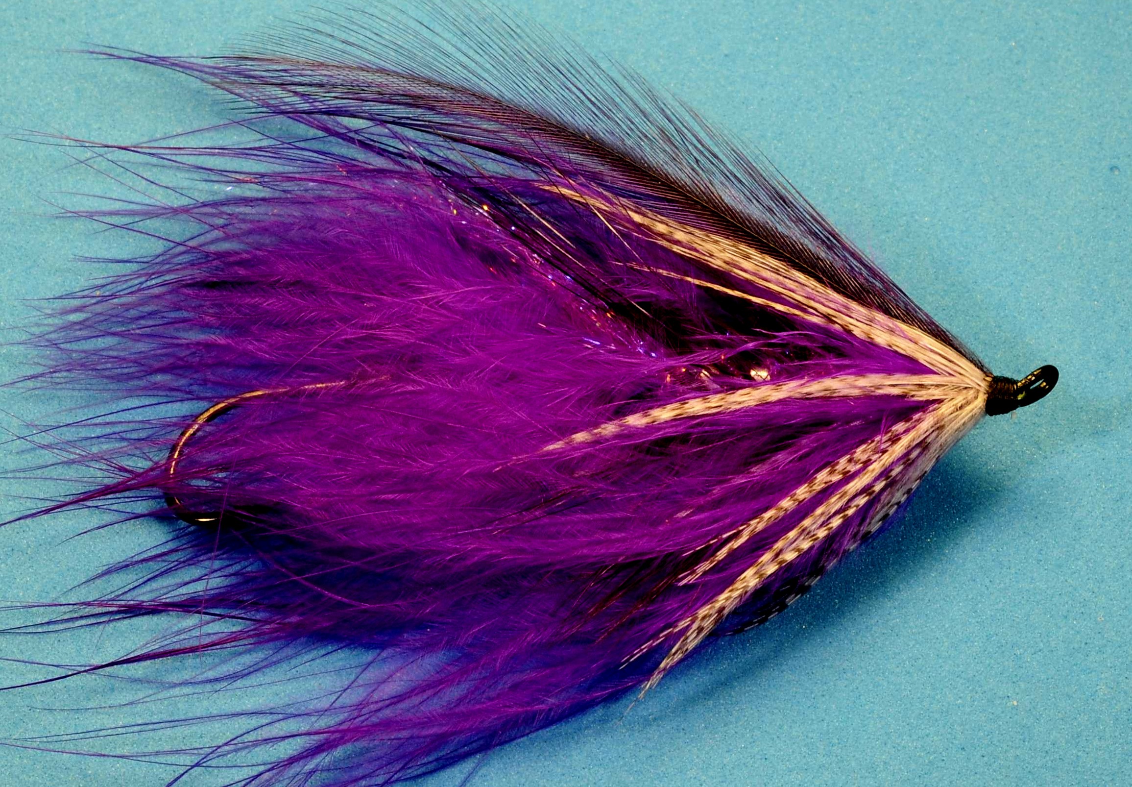 J21-19DTZP product image