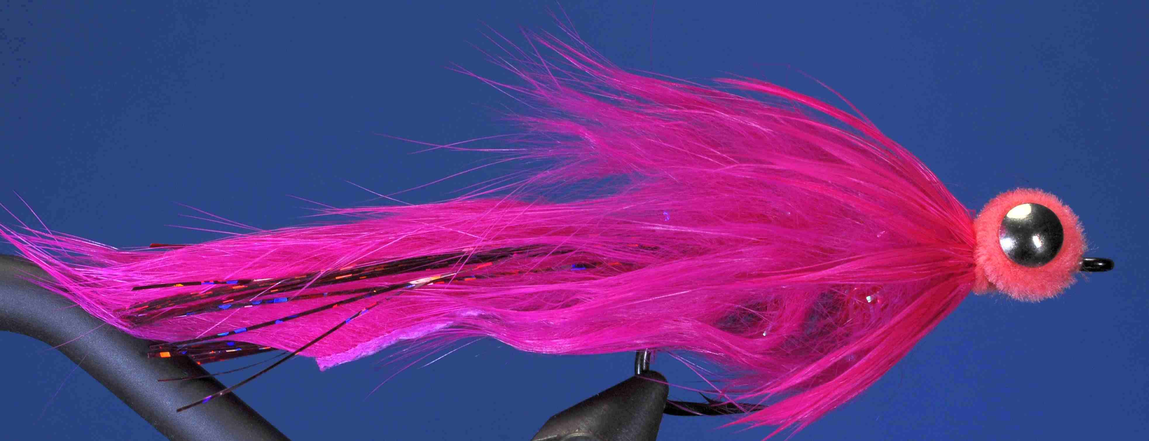 J21-19EHFS product image