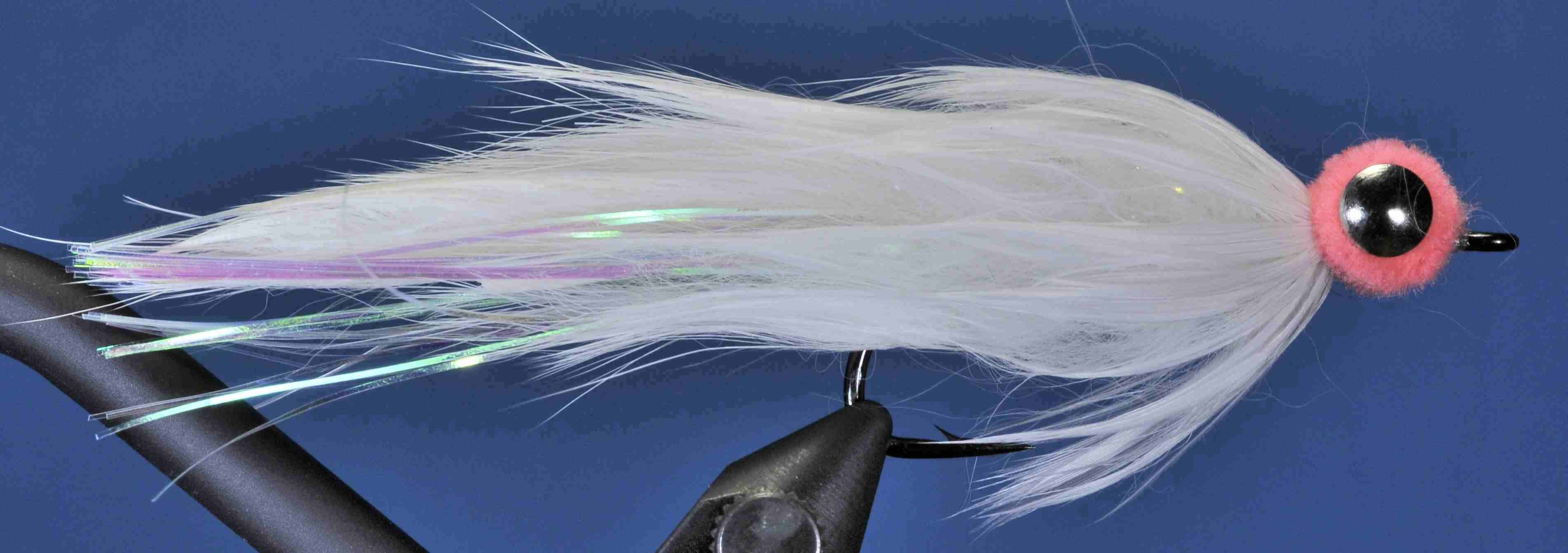 J21-19EHWS product image